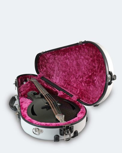 Z Mandolins to support IBMA Bluegrass College Scholarship