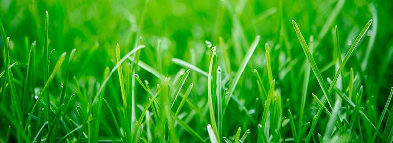 Welcome to the March 2021 issue of The Cornerstone