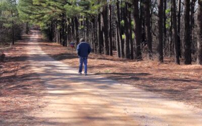 Welcome to the September 2021 issue of The Cornerstone