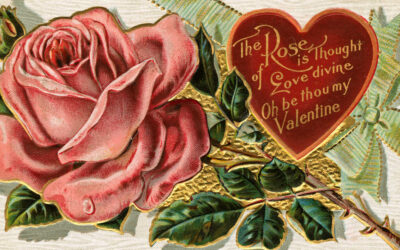 A message from Nancy Cardwell