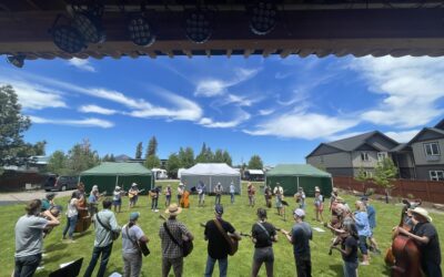 Apply for project and Shultz Fund grants Dec. 1, Jan 31