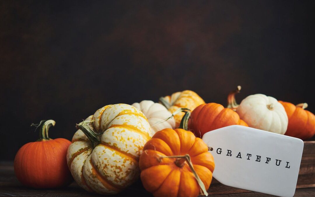 A Thanksgiving Letter from Nancy Cardwell