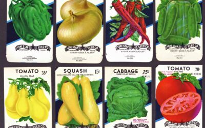 A message from Nancy Cardwell