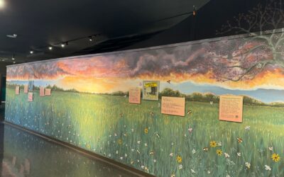 Project grant from Kentucky Museum at Western Kentucky University